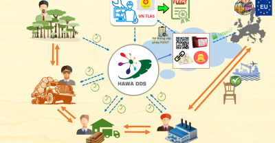 Giới thiệu Nền tảng Hệ thống Giải trình và Truy xuất Nguồn gốc Gỗ HAWA DDS