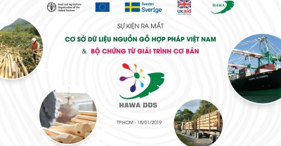 Ra mắt cơ sở dữ liệu nguồn gỗ hợp pháp Việt Nam