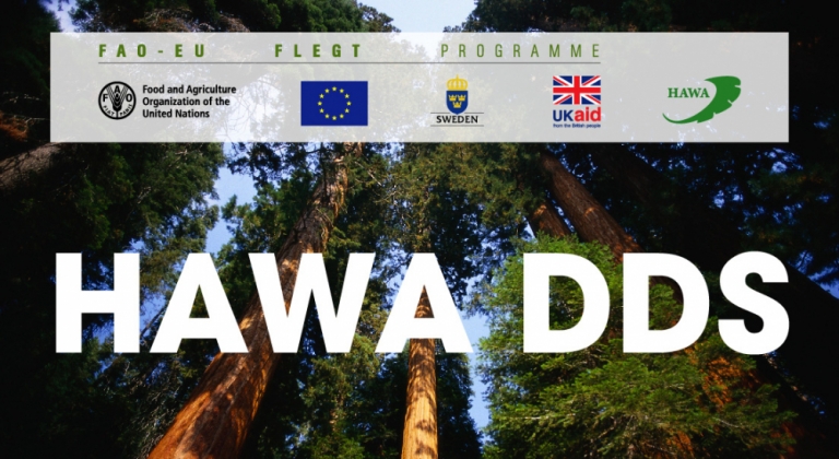 Hawa DDS - dự án hỗ trợ doanh nghiệp trong chứng minh nguồn gốc, xuất xứ gỗ
